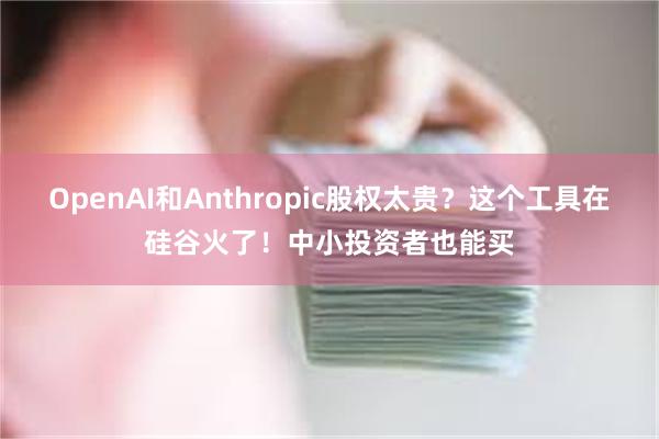 OpenAI和Anthropic股权太贵？这个工具在硅谷火了！中小投资者也能买