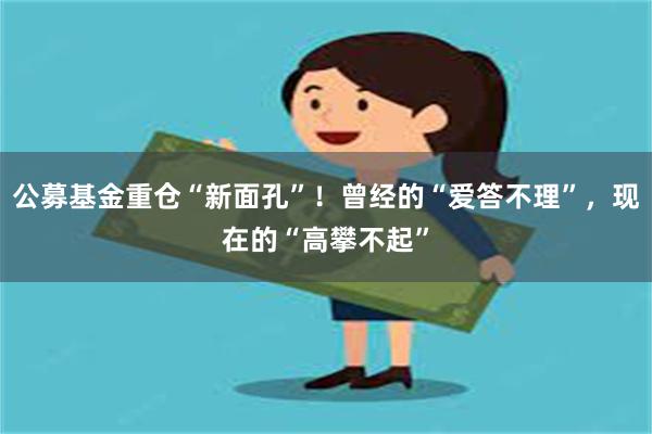 公募基金重仓“新面孔”！曾经的“爱答不理”，现在的“高攀不起”