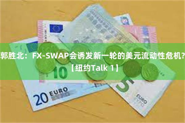 郭胜北：FX-SWAP会诱发新一轮的美元流动性危机?【纽约Talk 1】