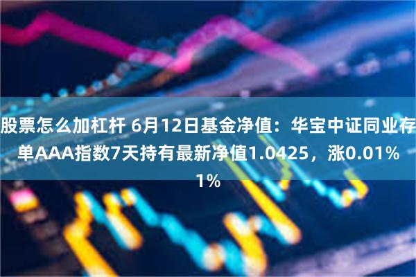 股票怎么加杠杆 6月12日基金净值：华宝中证同业存单AAA指数7天持有最新净值1.0425，涨0.01%