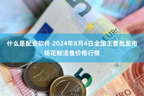 什么是配资软件 2024年8月4日全国主要批发市场花鲢活鱼价格行情