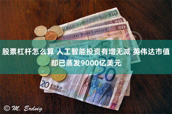 股票杠杆怎么算 人工智能投资有增无减 英伟达市值却已蒸发9000亿美元