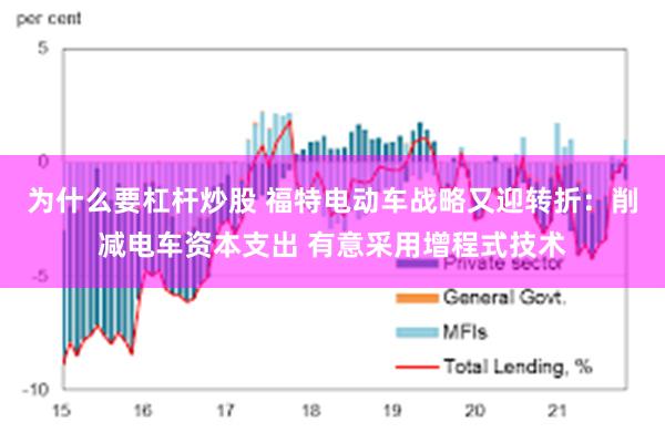 为什么要杠杆炒股 福特电动车战略又迎转折：削减电车资本支出 有意采用增程式技术