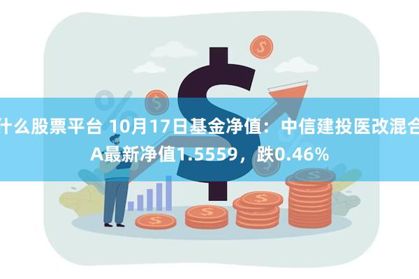 什么股票平台 10月17日基金净值：中信建投医改混合A最新净值1.5559，跌0.46%