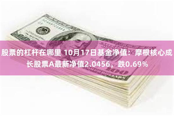 股票的杠杆在哪里 10月17日基金净值：摩根核心成长股票A最新净值2.0456，跌0.69%