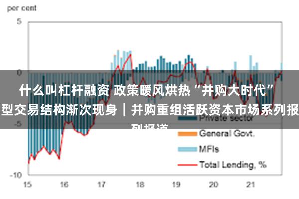 什么叫杠杆融资 政策暖风烘热“并购大时代” 新型交易结构渐次现身｜并购重组活跃资本市场系列报道