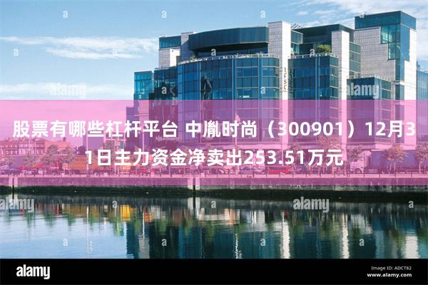 股票有哪些杠杆平台 中胤时尚（300901）12月31日主力资金净卖出253.51万元