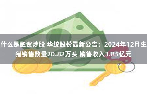 什么是融资炒股 华统股份最新公告：2024年12月生猪销售数量20.82万头 销售收入3.85亿元