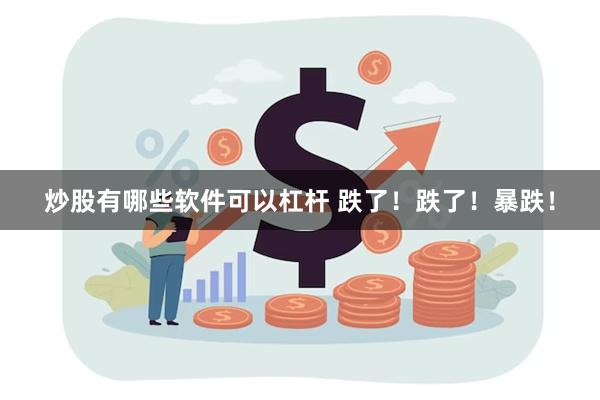 炒股有哪些软件可以杠杆 跌了！跌了！暴跌！