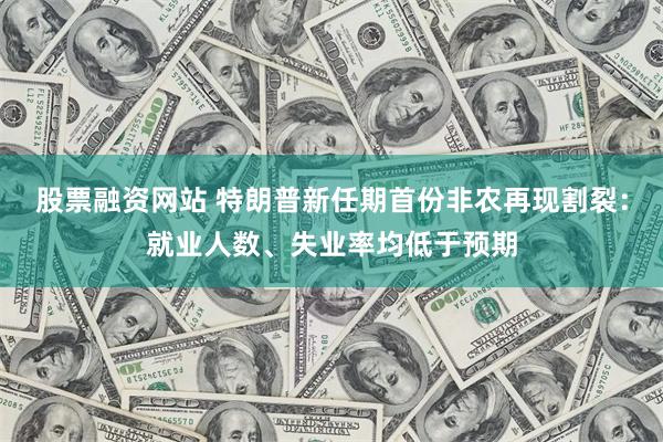 股票融资网站 特朗普新任期首份非农再现割裂：就业人数、失业率均低于预期