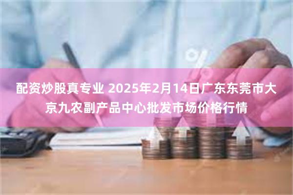 配资炒股真专业 2025年2月14日广东东莞市大京九农副产品中心批发市场价格行情