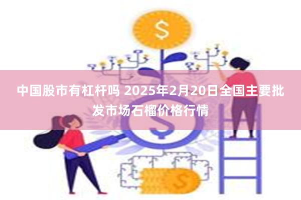 中国股市有杠杆吗 2025年2月20日全国主要批发市场石榴价格行情