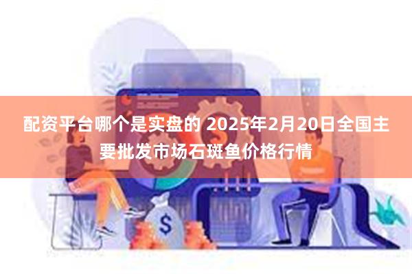 配资平台哪个是实盘的 2025年2月20日全国主要批发市场石斑鱼价格行情