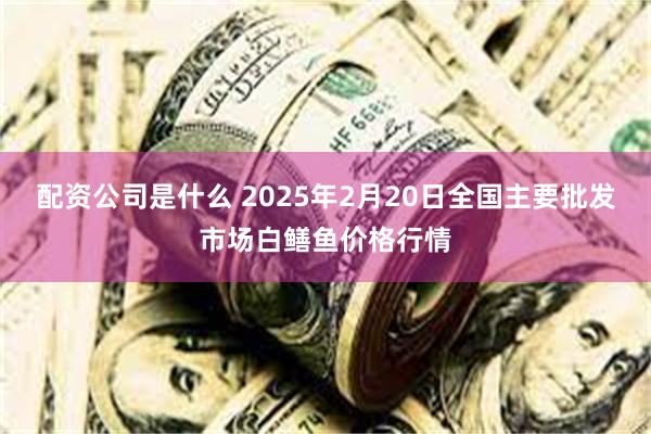 配资公司是什么 2025年2月20日全国主要批发市场白鳝鱼价格行情