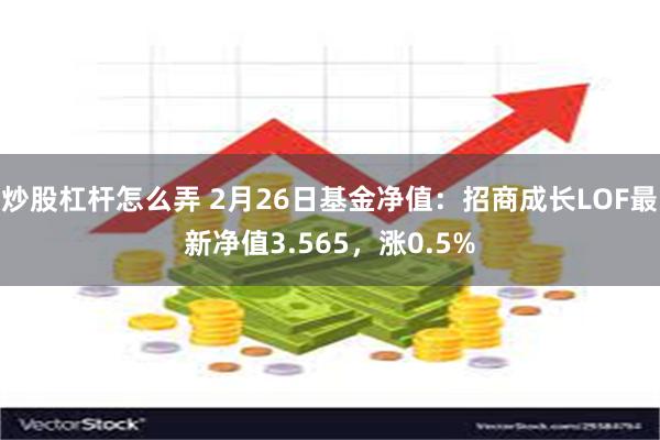 炒股杠杆怎么弄 2月26日基金净值：招商成长LOF最新净值3.565，涨0.5%