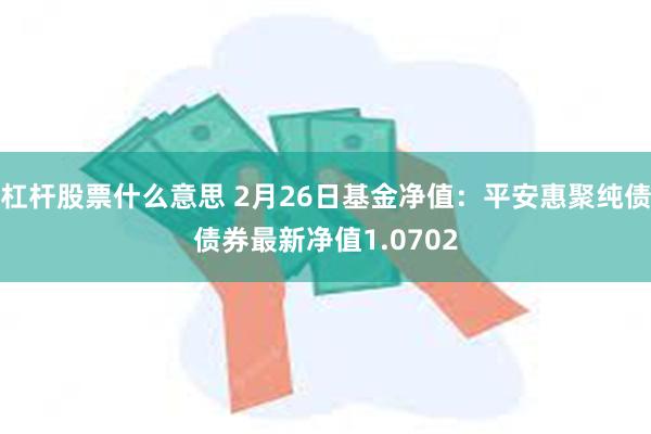 杠杆股票什么意思 2月26日基金净值：平安惠聚纯债债券最新净值1.0702