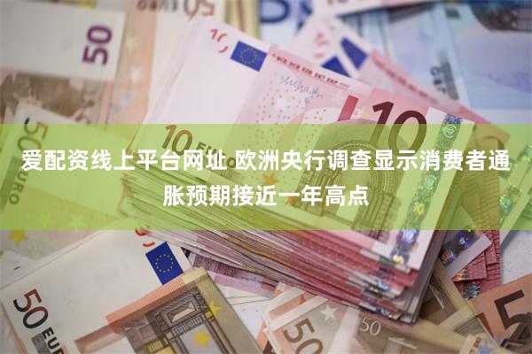 爱配资线上平台网址 欧洲央行调查显示消费者通胀预期接近一年高点