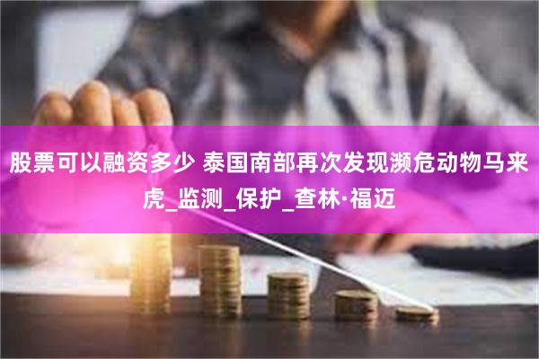 股票可以融资多少 泰国南部再次发现濒危动物马来虎_监测_保护_查林·福迈