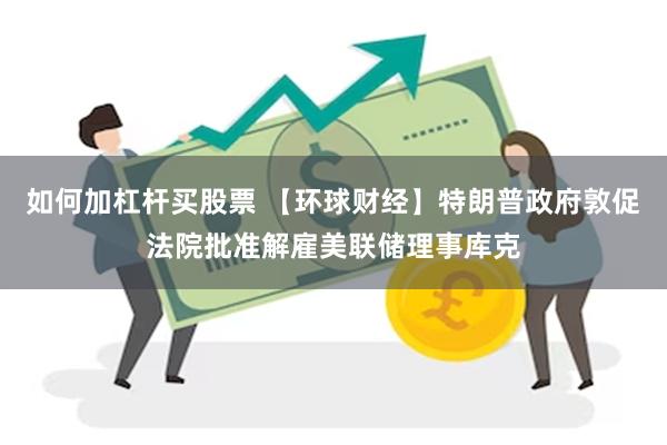 如何加杠杆买股票 【环球财经】特朗普政府敦促法院批准解雇美联储理事库克